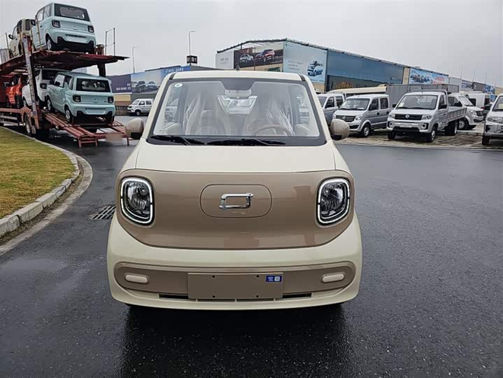 Фото 15 - Bestune Pony