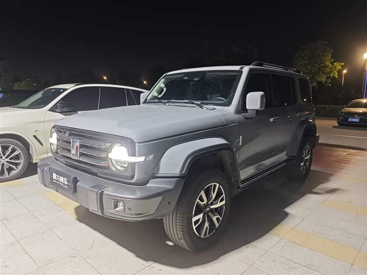 Фото 1 - Tank 300