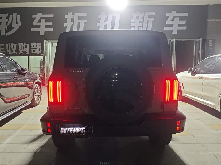 Фото 8 - Tank 300