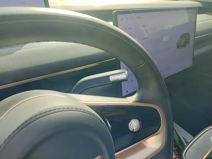 Фото 14 - Exeed Sterra ET