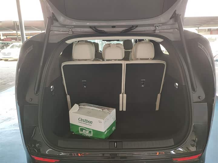 Фото 19 - LiXiang Mega