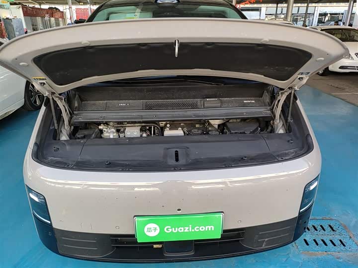 Фото 20 - LiXiang Mega