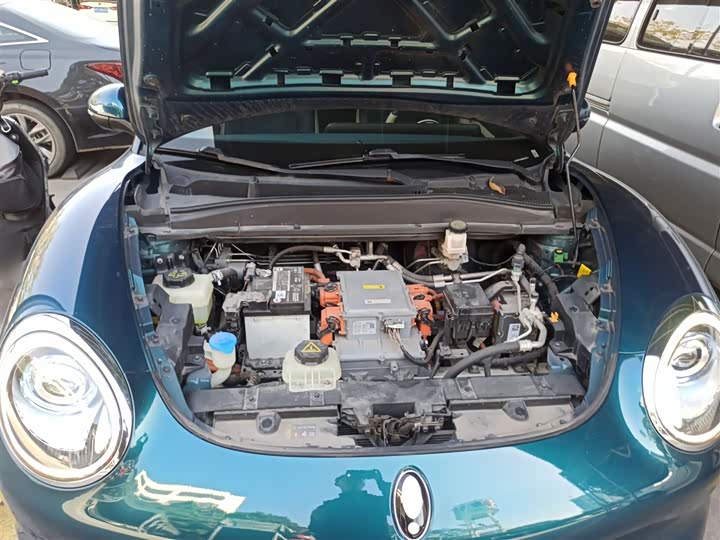 Фото 20 - Ora Good Cat (03)