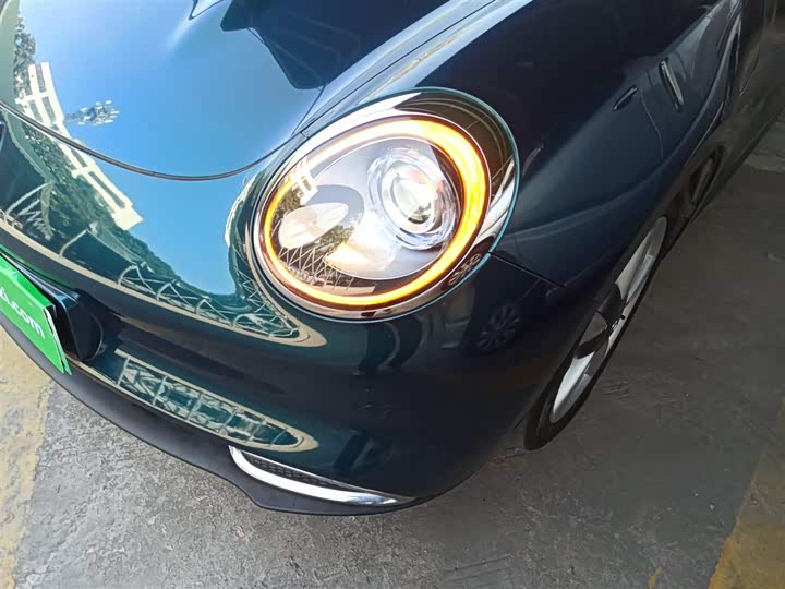 Фото 24 - Ora Good Cat (03)