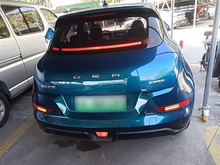 Фото 6 - Ora Good Cat (03)