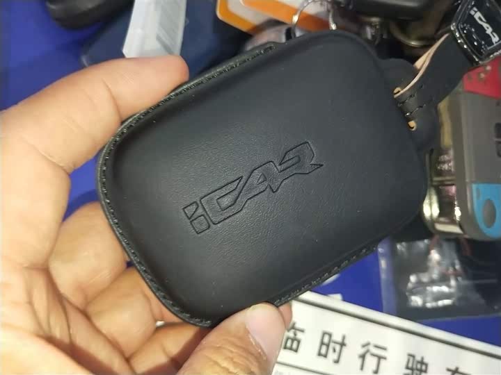 Фото 9 - Chery iCar V23