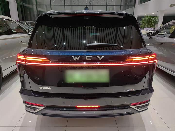 Фото 6 - Wey Lanshan