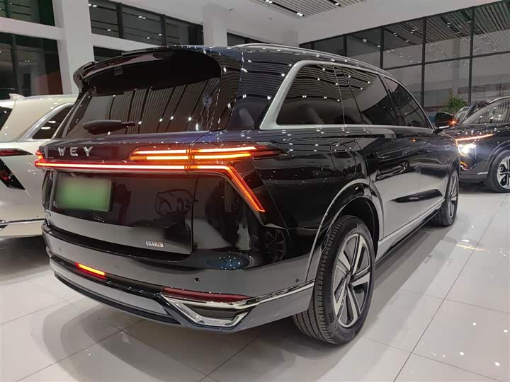 Фото 7 - Wey Lanshan