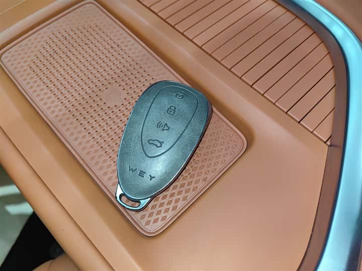 Фото 9 - Wey Lanshan