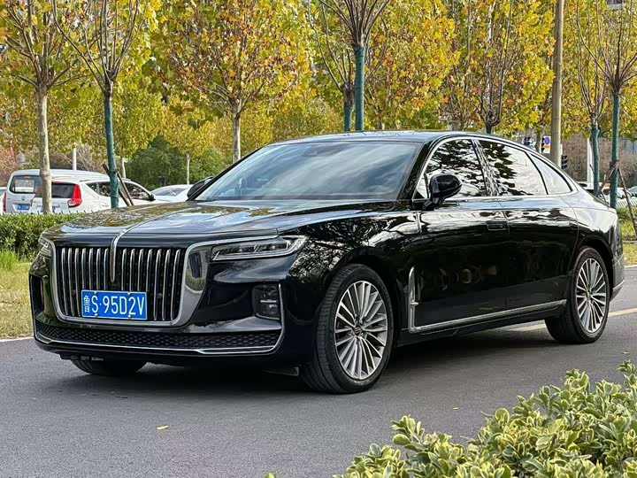 Фото 1 - Hongqi H9