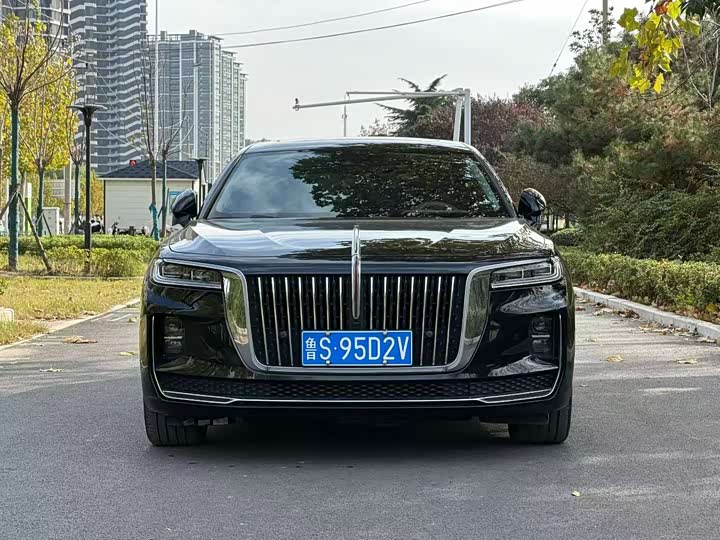 Фото 2 - Hongqi H9