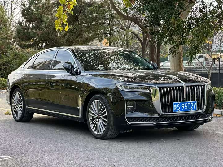 Фото 3 - Hongqi H9