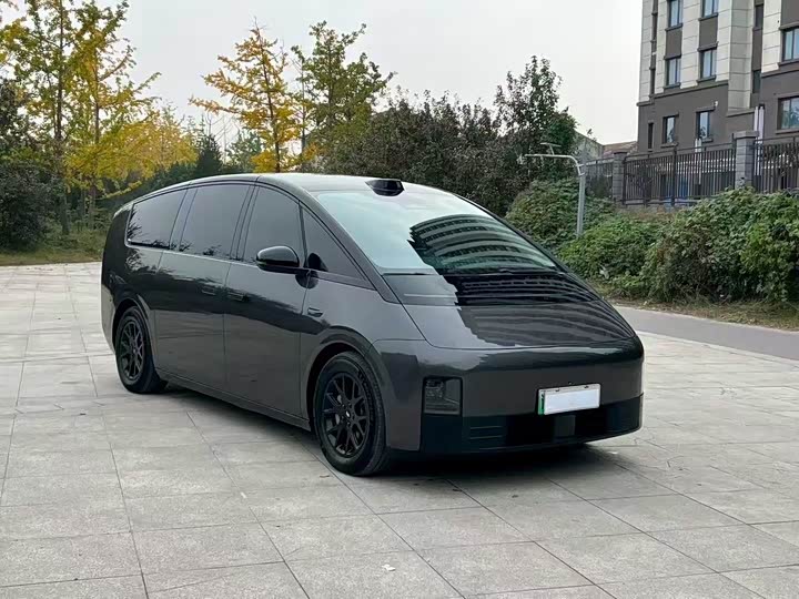 Фото 3 - LiXiang Mega