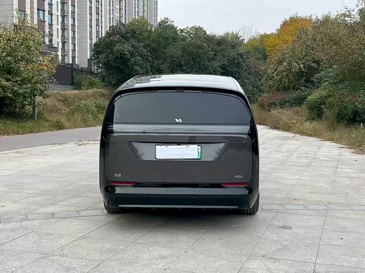 Фото 8 - LiXiang Mega