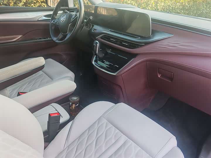 Фото 5 - Buick GL8 ES