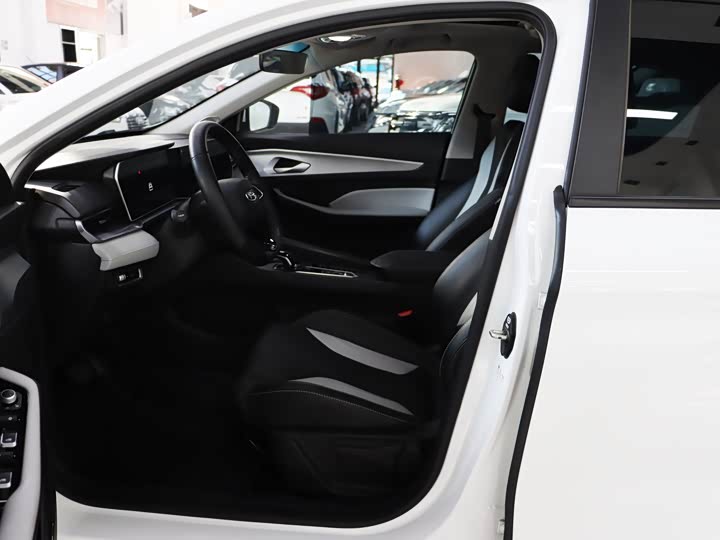 Фото 4 - Geely Binrui