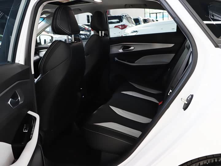 Фото 6 - Geely Binrui