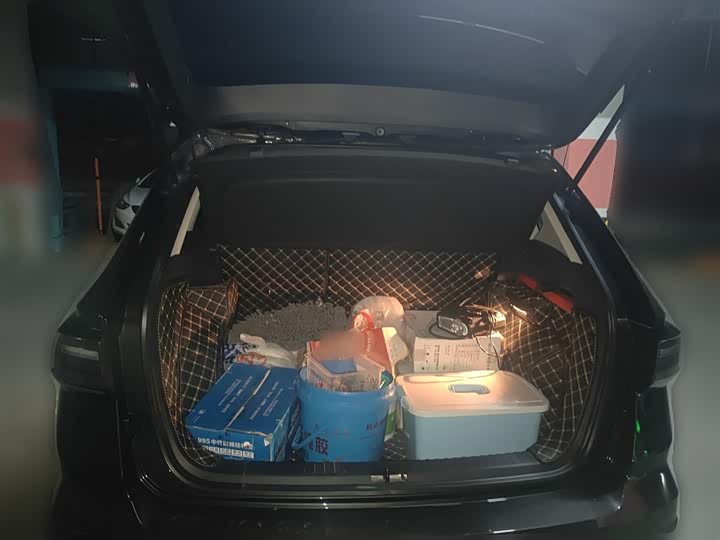 Фото 10 - Volkswagen Tharu