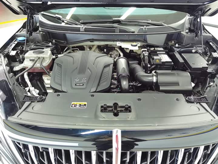 Фото 10 - Hongqi HS3