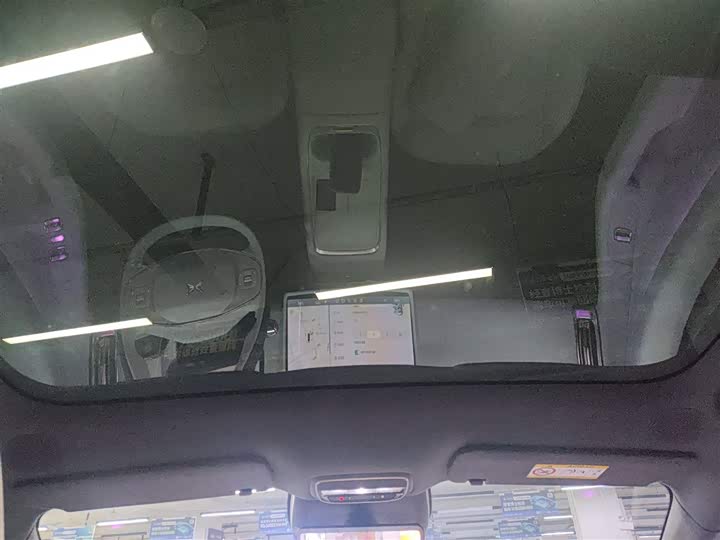 Фото 18 - XPeng F57