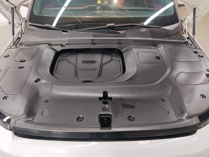 Фото 10 - Geely Icon