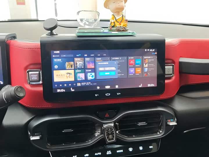 Фото 13 - Geely Icon