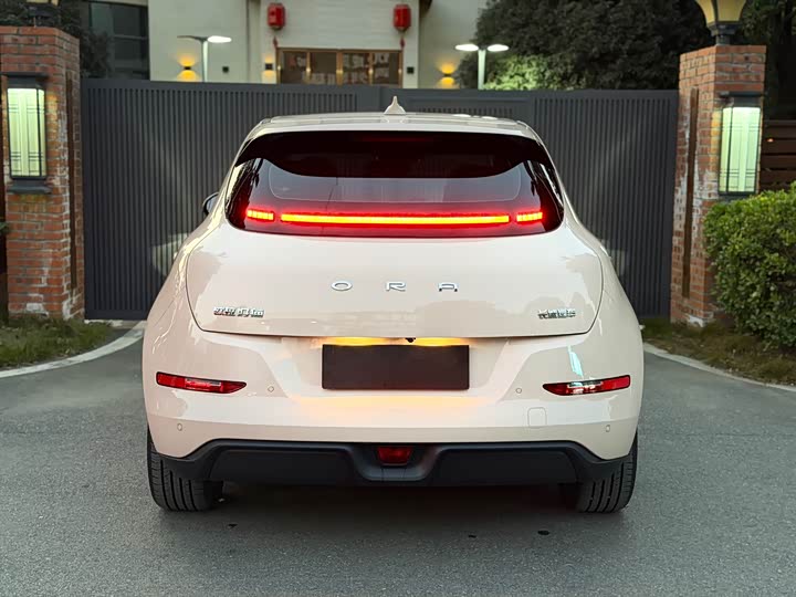 Фото 16 - Ora Good Cat (03)