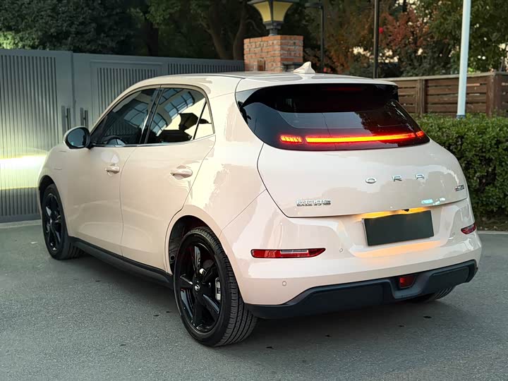 Фото 17 - Ora Good Cat (03)