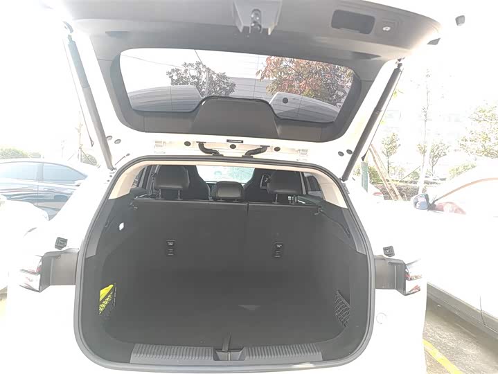 Фото 19 - Roewe RX5