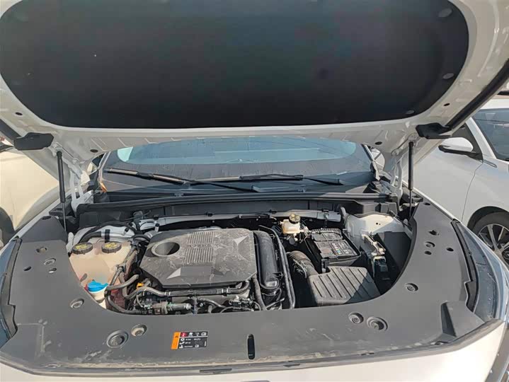 Фото 20 - Roewe RX5