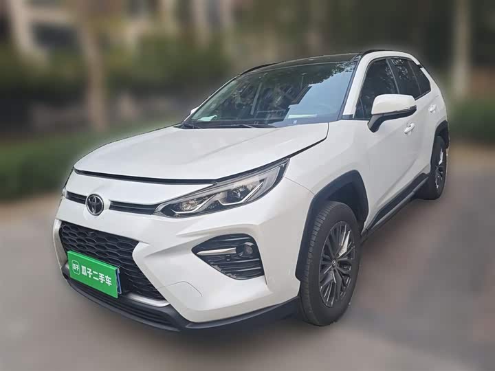 Фото 1 - Toyota Wildlander