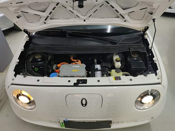 Фото 20 - Ora Black Cat