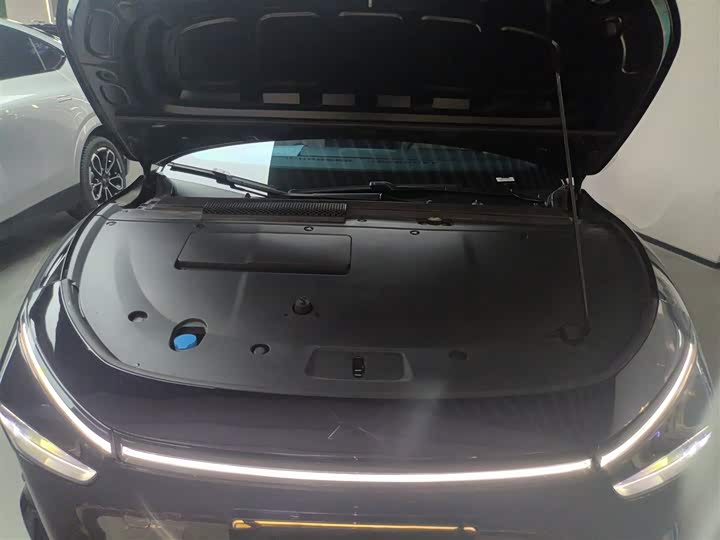 Фото 20 - XPeng F57