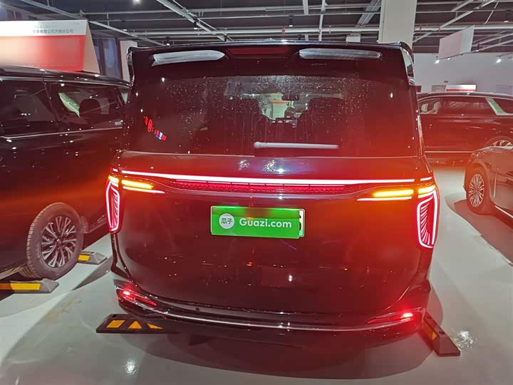 Фото 6 - Hongqi HQ9 Hybrid