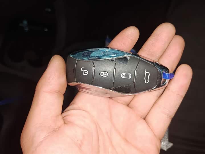 Фото 9 - Hongqi HQ9 Hybrid