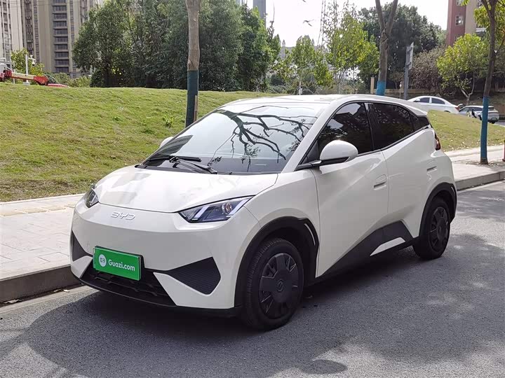 Фото 1 - BYD Seagull