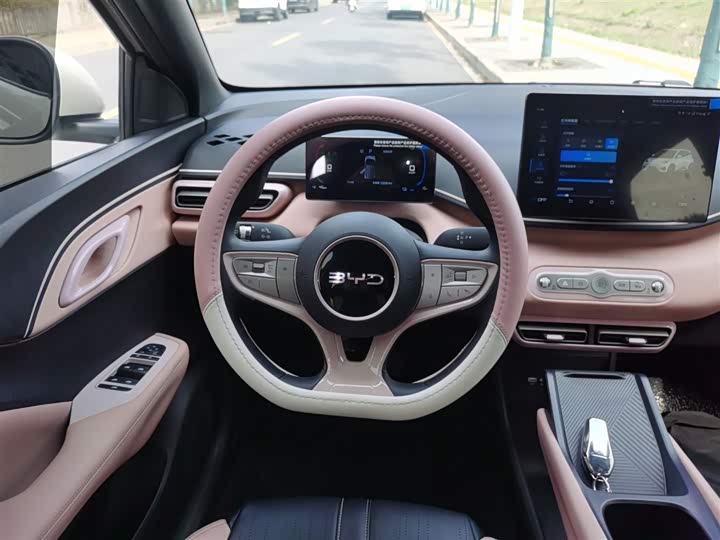 Фото 11 - BYD Seagull