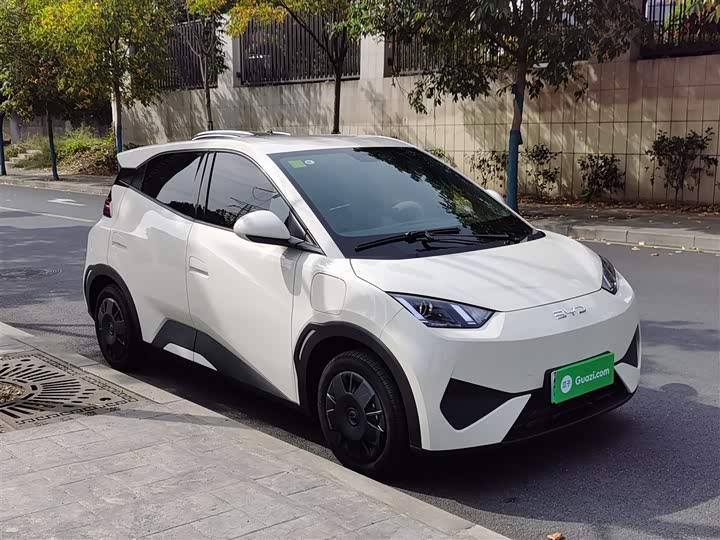 Фото 4 - BYD Seagull