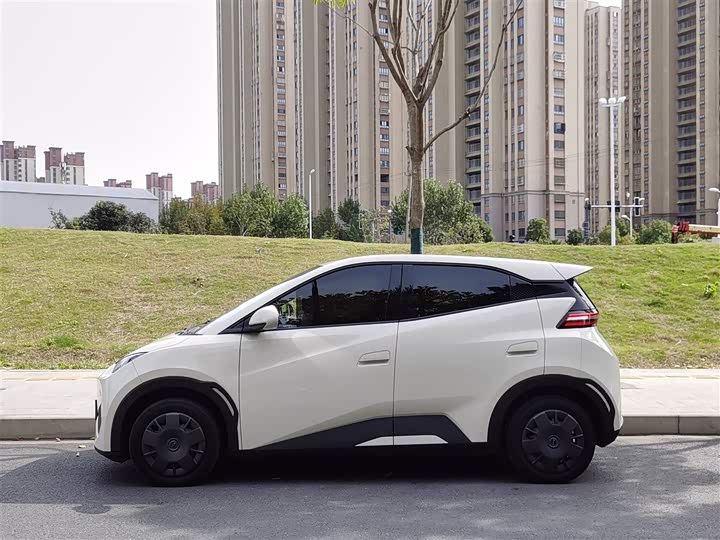 Фото 5 - BYD Seagull