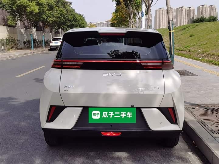 Фото 6 - BYD Seagull