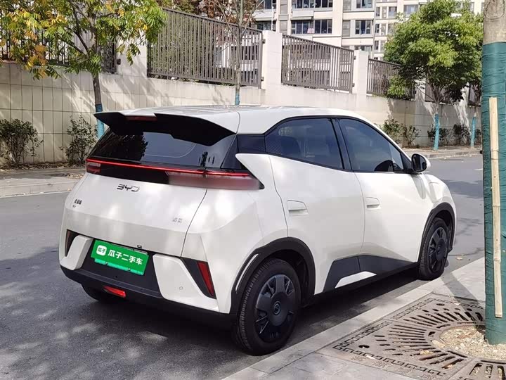 Фото 7 - BYD Seagull