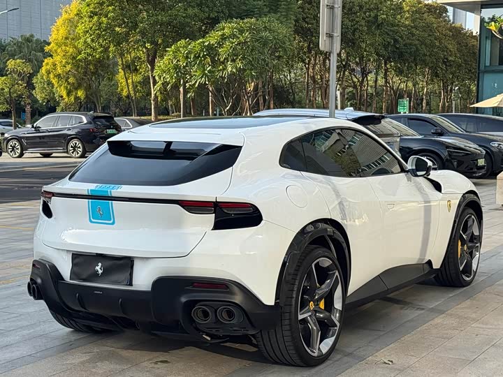 Фото 17 - Ferrari Purosangue