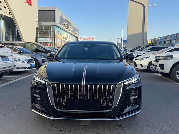 Фото 3 - Hongqi H5