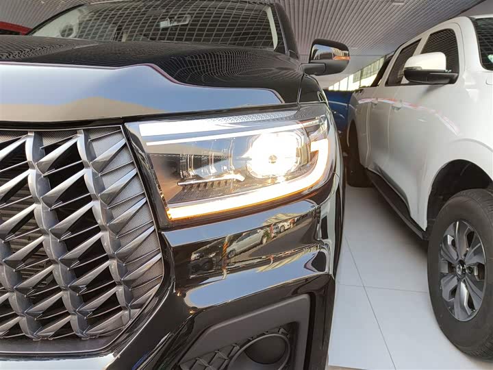 Фото 24 - Great Wall Pao