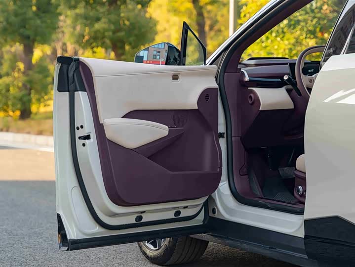 Фото 9 - Zeekr X