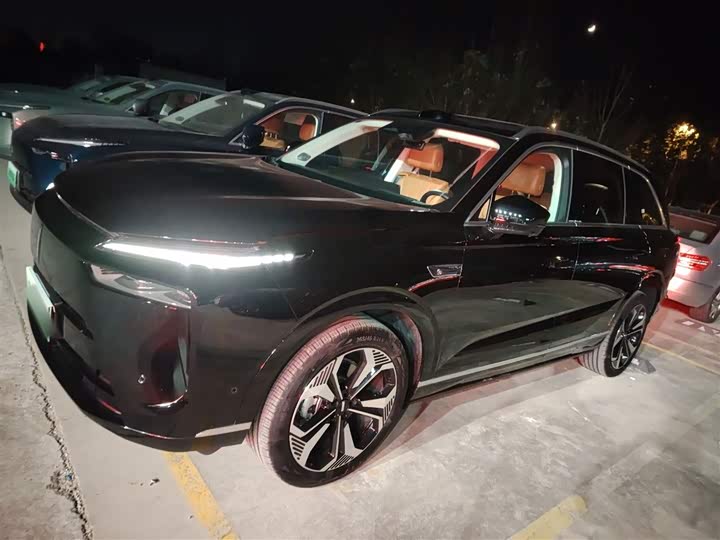 Фото 5 - Wey Lanshan