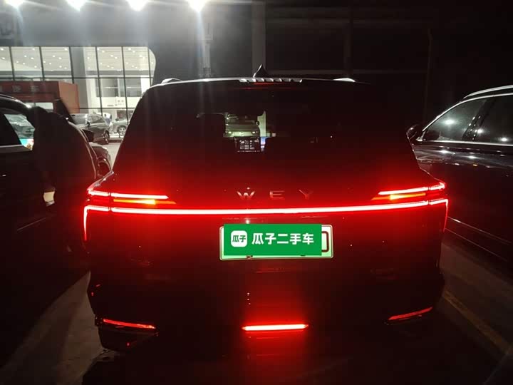 Фото 6 - Wey Lanshan