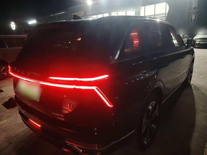 Фото 7 - Wey Lanshan