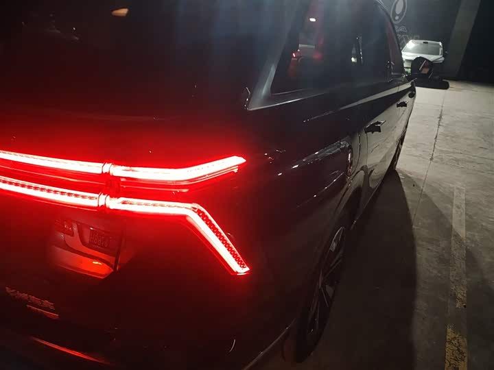 Фото 8 - Wey Lanshan