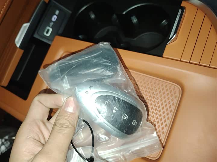 Фото 9 - Wey Lanshan